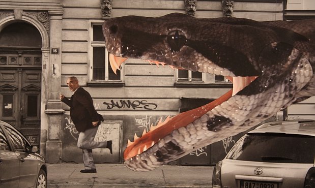 Surviving Life de Jan Svankmajer